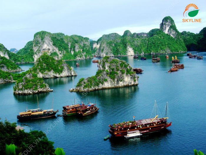 skyline-cho-thue-xe-du-lich-di-ha-long2_done