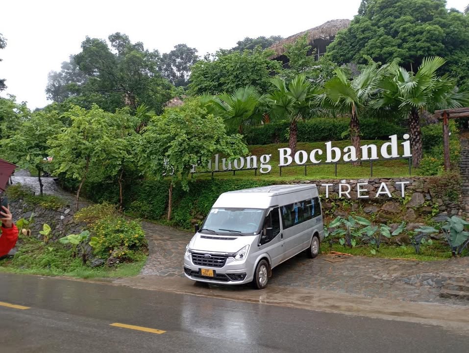 16. 29F054.41 Puluong Bocbandi 616