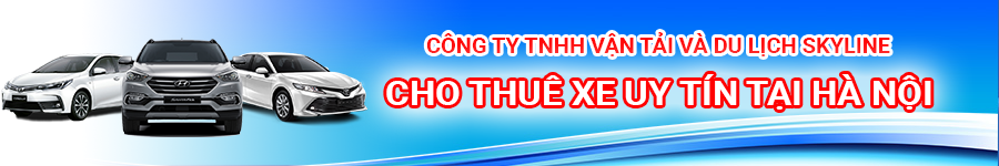 banner-top-skyline-6