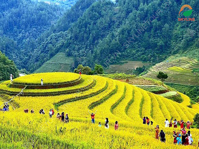 du-lich-mu-cang-chai