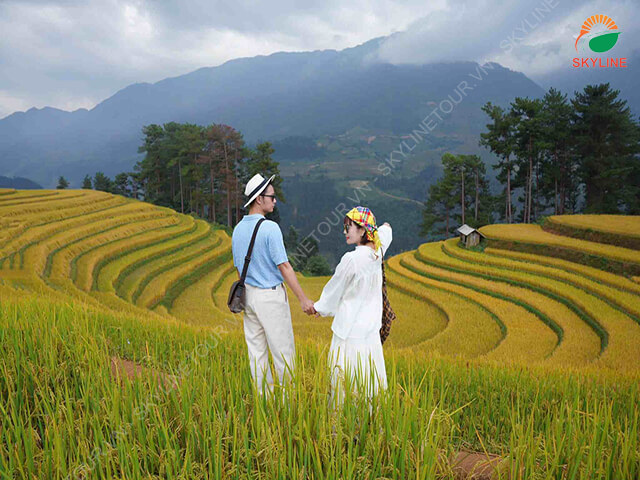 ngam-lua-chin-mu-cang-chai