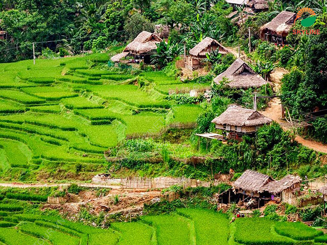 thue-xe-di-pu-luong-skylinetour-1 thue-xe-di-pu-luong-skylinetour-1