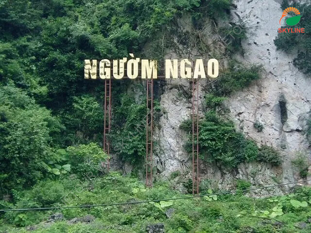 dong-nguom-ngao-1 dong-nguom-ngao-1